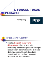 Peran, Fungsi, Tugas Perawat