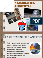 La Contaminacion Ambiental 091023082715 Phpapp01