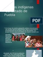 Pueblos Indígenas en Puebla