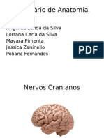 Seminário de Anatomia