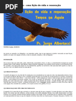 A Águia - Uma Lição de Vida e Renovação - Estudos Bíblicos