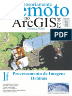 Livro_ArcGIS_ProcessamentoImagensOrbitais.pdf