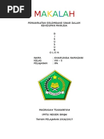 Download MAKALAH cahaya by CibifUfanda SN311297958 doc pdf