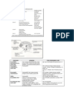 neuro print.docx