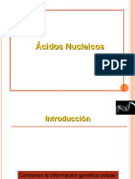 Acidos Nucleicos