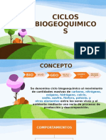 Ciclo Biogeoquimicos Luisa