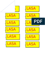 LASA document summary report