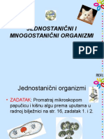 04 Jednostanicni I Mnogostanicni Organizmi