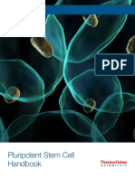 Stem Cell Handbook v2