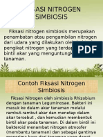 Fiksasi Nitrogen Simbiosis