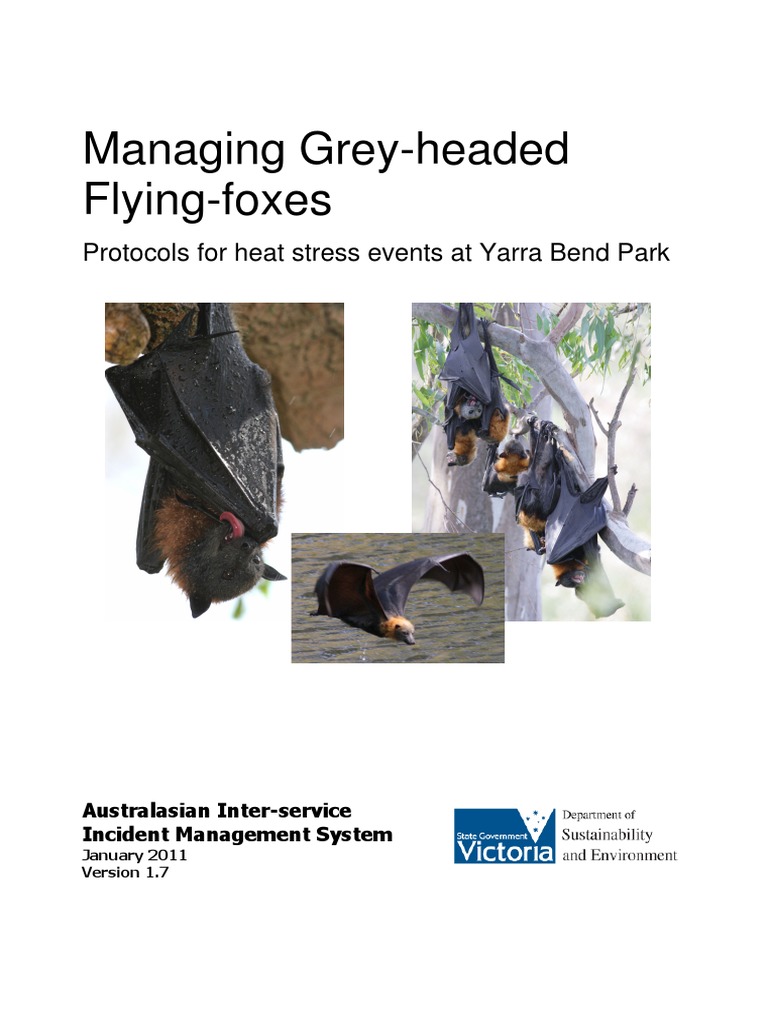 Protocols GHFF V1.7 Feb 11 | PDF | Hyperthermia | Thermoregulation