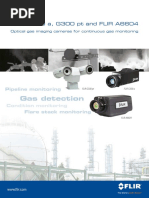 Gas Detection: FLIR G300 A, G300 PT and FLIR A6604