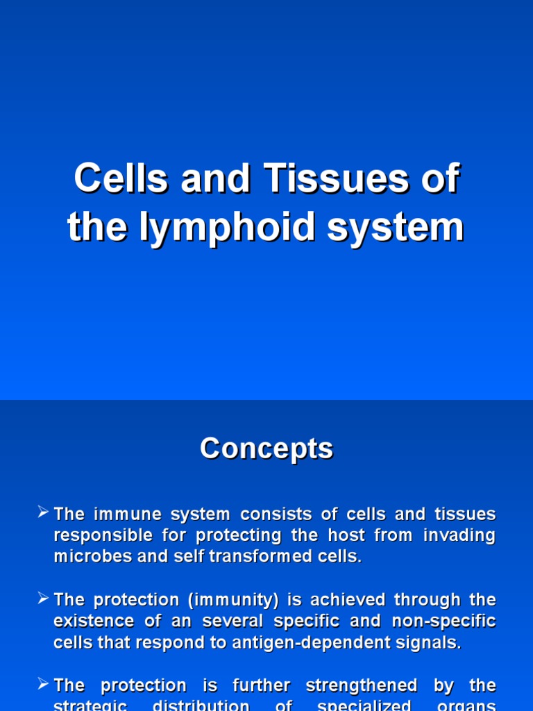 Cells and Tissues of The Lymphoid System | PDF | Lymphatic System ...