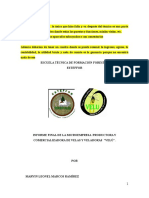 informe Final Velas REVISADO.docx