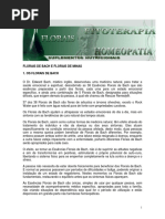 Florais de Bach e Florais de Minas