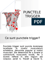 Documents.tips Trigger Point trigger