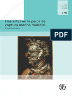 Descartes en La Pesca de Captura Marina Mundial Una Actualización