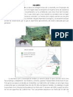 Xmaben Folleto EncuestasBJ013 (1).pdf