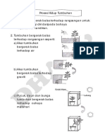 Proses Hidup Tumbuhan