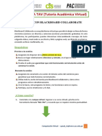 Manual- TAV - ESTUDIANTE.pdf