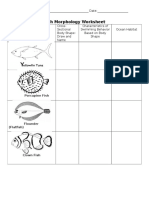 Fish Morphology Worksheet: Name: - Date: - Per.