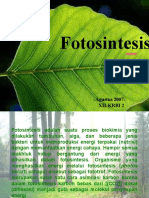 Fotosintesis