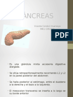 Pncreas Anato