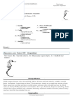 FAO Fisheries and Aquaculture Department - Tiger tail seahorse (Hippocampus comes) profile