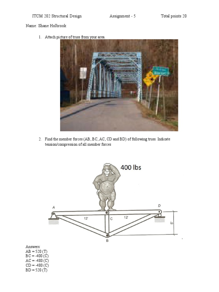 Truss Member Forces Analysis Report | PDF