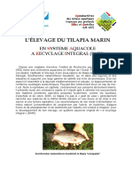 Aquaculture - Tilapia Marin (élevage).pdf