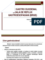 Ulcer Boala de Reflux Gastroesofagian