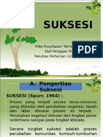 4 Suksesi