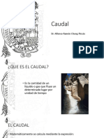 P2_CAUDAL