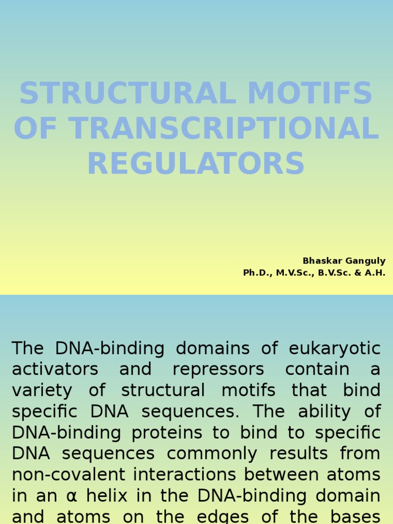 Structural Motifs of Transcriptional Regulators | PDF | Alpha Helix ...