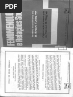 Alfred Schutz Fenomenologia e Relacoes Sociais