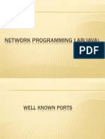 Network Programming Lab