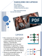 Bioquimica Lipidos