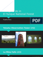 Things To Do in El Yunque National Forest