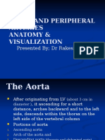 Aorta and Peripheral Arteries Anatomy Visualization_ Dr Rakesh Jain