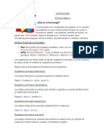 LEXICOLOGÍA 2ºNIVEL