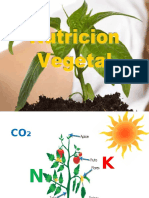 Nutricion Vegetal Power Point