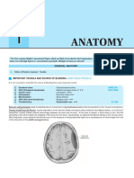 Anatomy: Important Vessels and Source of Bleeding