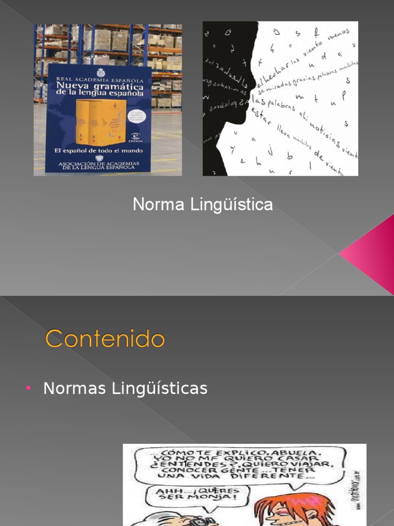 Poltica Panhispnica Real Academia Espaola