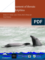 Mauis Dolphin Risk Assessment PDF