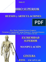 4.1 Miembro Superior Huesos y Articulaciones.ppt