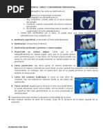 1.1 Repaso Caries y Enfermedad Periodontal