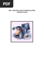Sig-sistema de Informações Gerenciais