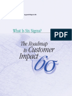 Six Sigma The road map to costumer impact