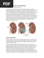 Tratamientos Quirúrgicos para litiasis Renal.docx