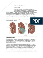 Tratamientos Quirúrgicos para Litiasis Renal